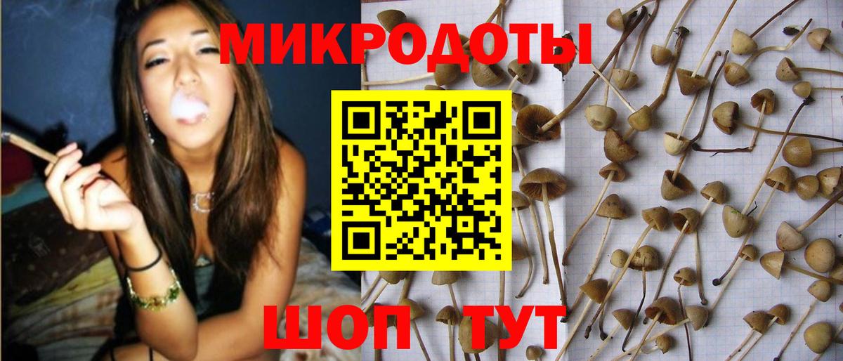 Псилоцибиновые грибы Magic Shrooms  Вход с VPN  Псилоцибиновые грибы Cubensis  Балахна 