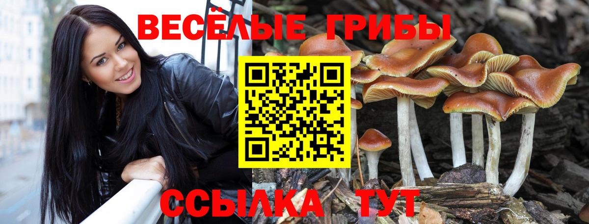 Галлюциногенные грибы Magic Shrooms Балахна